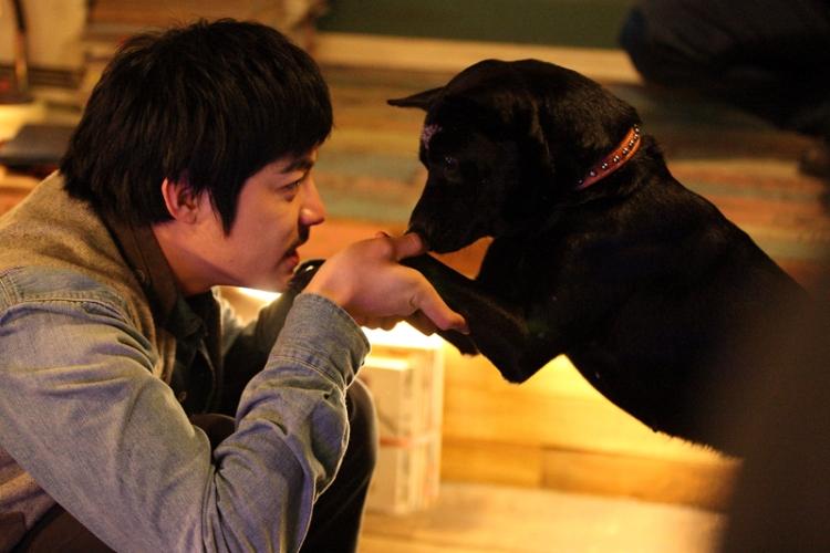 人間万事塞翁が犬 ポスター