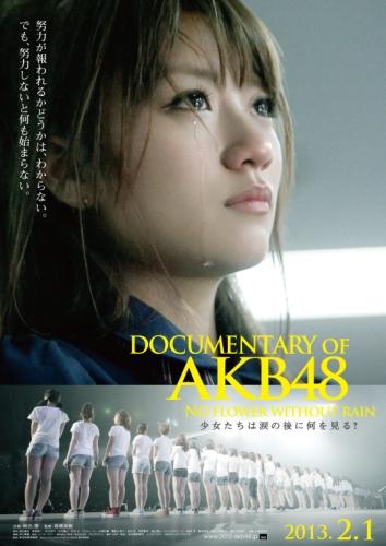 DOCUMENTARY OF AKB48　NO FLOWER WITHOUT RAIN 少女たちは涙の後に何を見る？ ポスター