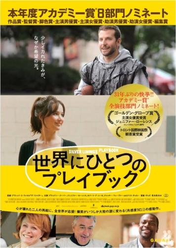 世界にひとつのプレイブック ポスター