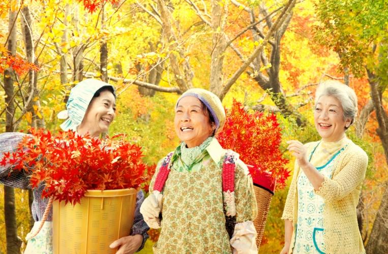 人生、いろどり ポスター