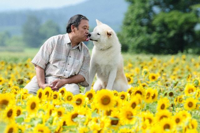 星守る犬 ポスター