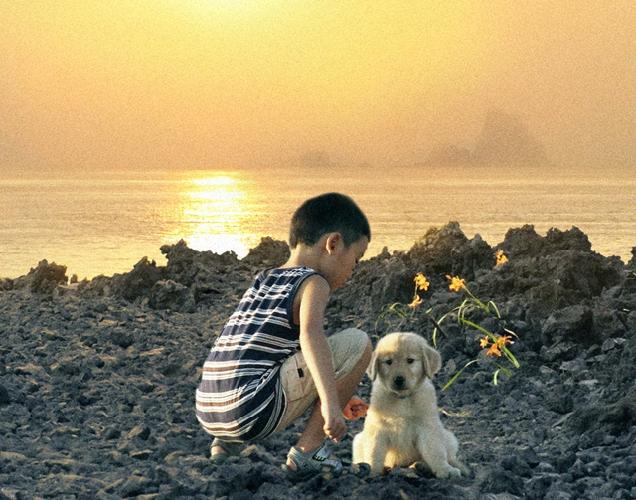 ロック　〜わんこの島〜 ポスター