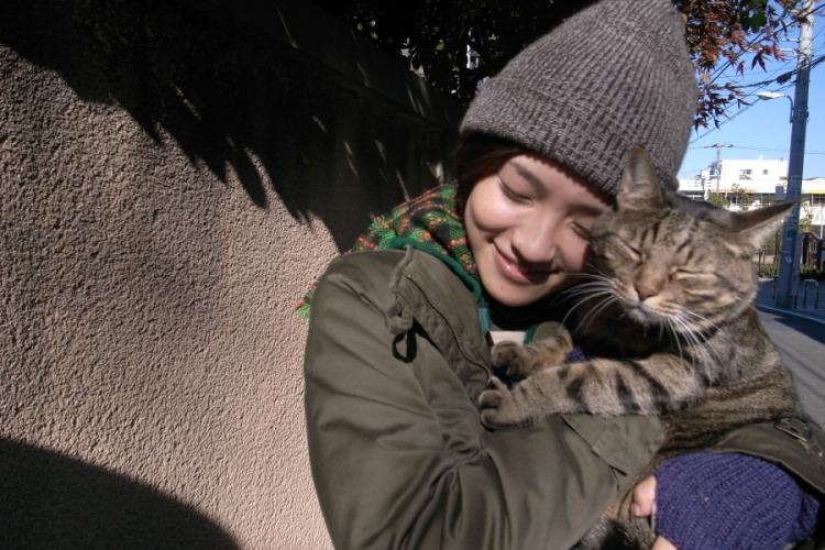 私は猫ストーカー ポスター
