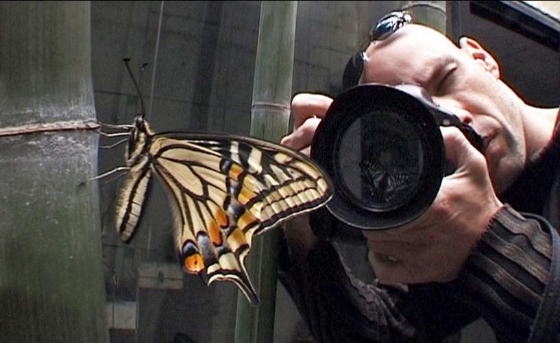 １０００の言葉よりも -報道写真家ジブ・コーレン ポスター