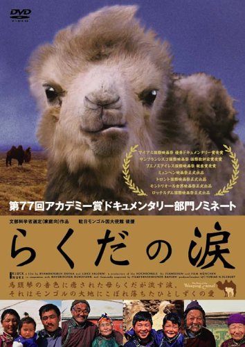 らくだの涙 ポスター