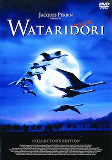WATARIDORI ポスター