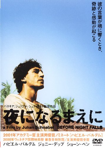 夜になるまえに ポスター