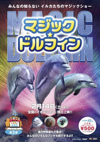 マジック・ドルフィン ポスター