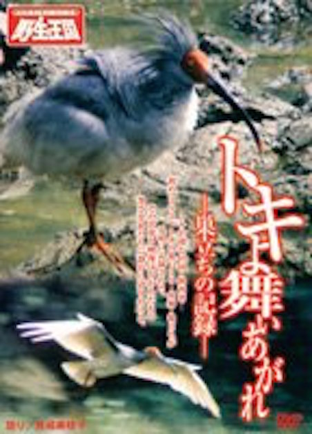 トキよ舞い上がれ　巣だちの記録 ポスター