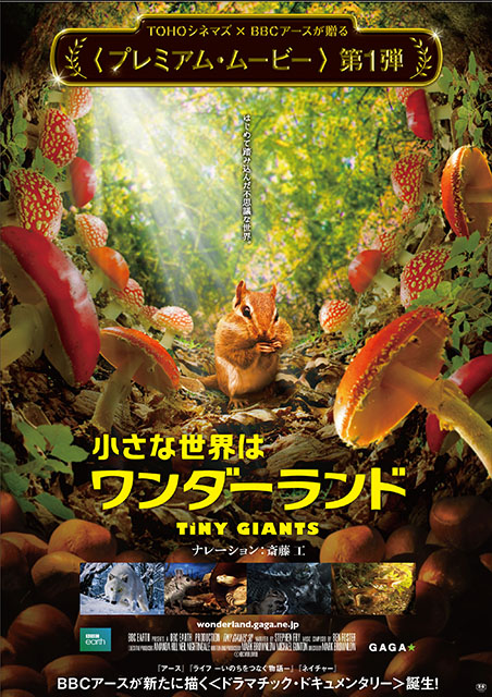 小さな世界はワンダーランド ポスター