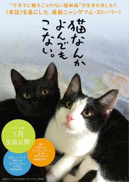猫なんかよんでもこない。 ポスター