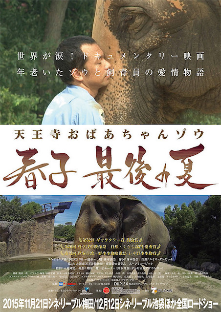 天王寺おばあちゃんゾウ　春子　最後の夏 ポスター