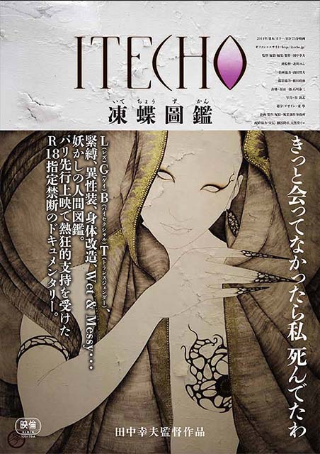 ITECHO 凍蝶圖鑑 ポスター