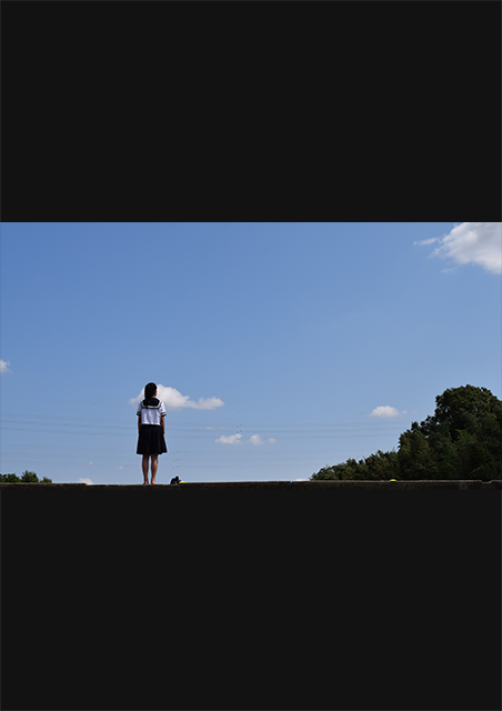 溶ける ポスター