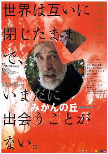 みかんの丘 ポスター