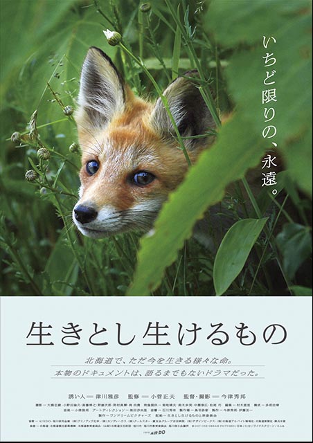 生きとし生けるもの ポスター