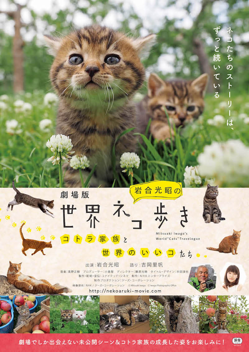 劇場版 岩合光昭の世界ネコ歩き コトラ家族と世界のいいコたち ポスター