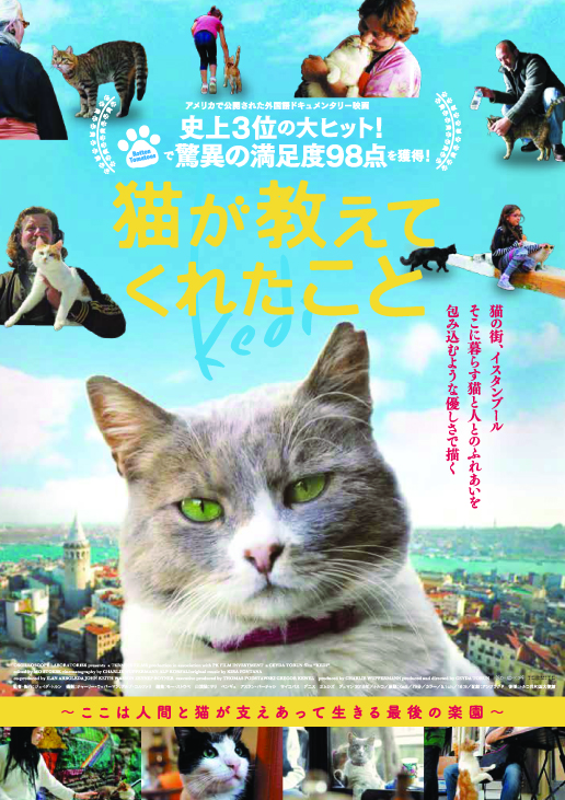 猫が教えてくれたこと ポスター