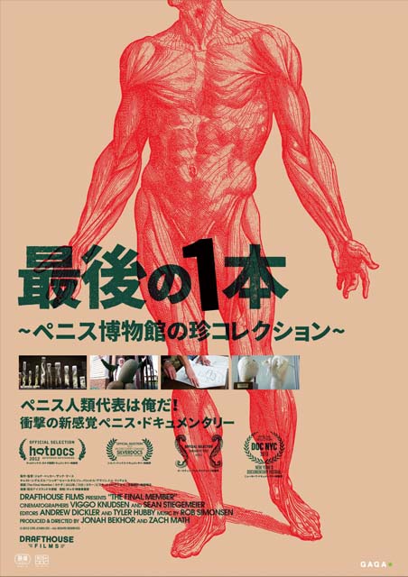 最後の1本 ～ペニス博物館の珍コレクション～ ポスター