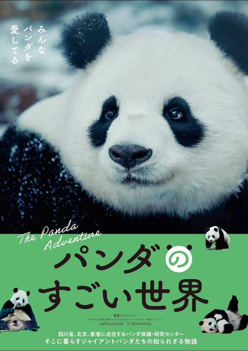 京劇パンダ パンダのすごい世界 | 映画チケット予約なら映画ランド